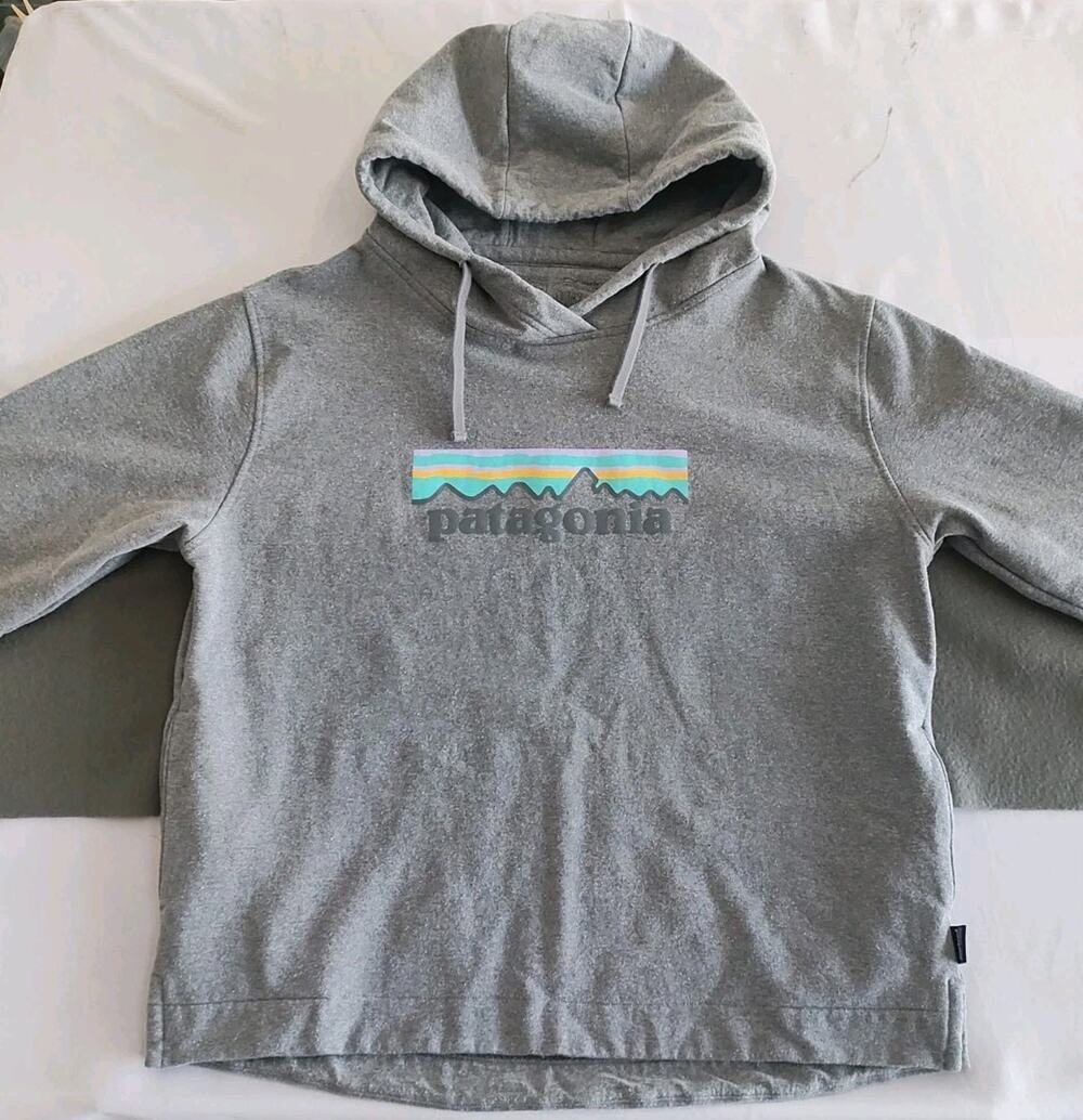 Patagonia Unisex Hooded Sweatshirt SZ XL Logo Poly Cotton Gray Comfy Thick